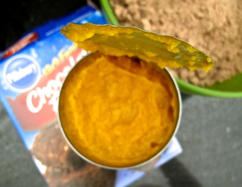 Two Ingredient Pumpkin Brownies (Vegan) // via www.hourglassandbloom.com #foodblog #vegan #pumpkinbrownies